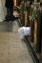 -NaN- (click to enlarge)