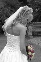 -NaN- (click to enlarge)